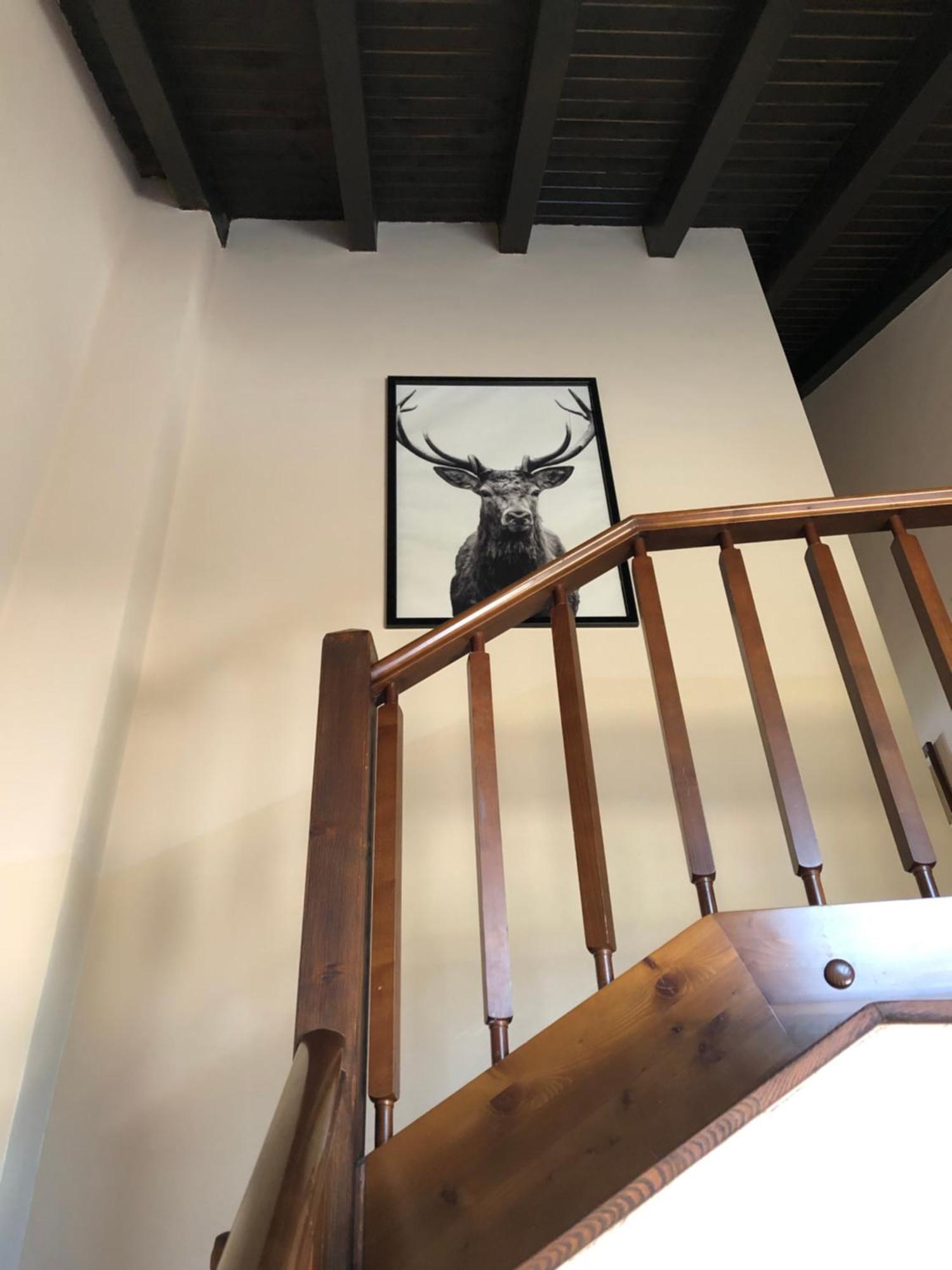 Casa Rural Mollo, Vall De Camprodon Buitenkant foto
