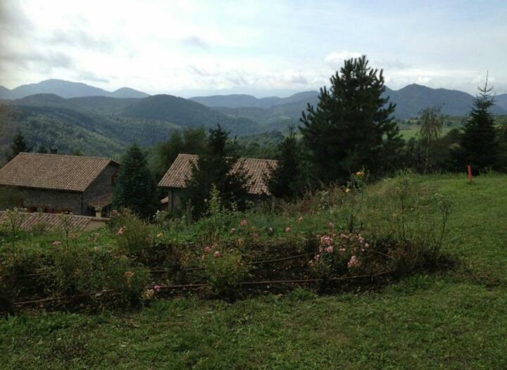 Casa Rural Mollo, Vall De Camprodon Buitenkant foto