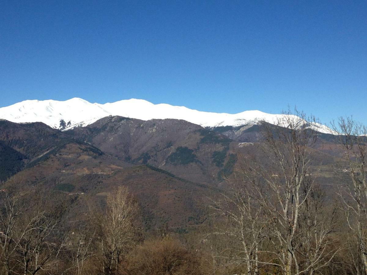 Casa Rural Mollo, Vall De Camprodon Buitenkant foto
