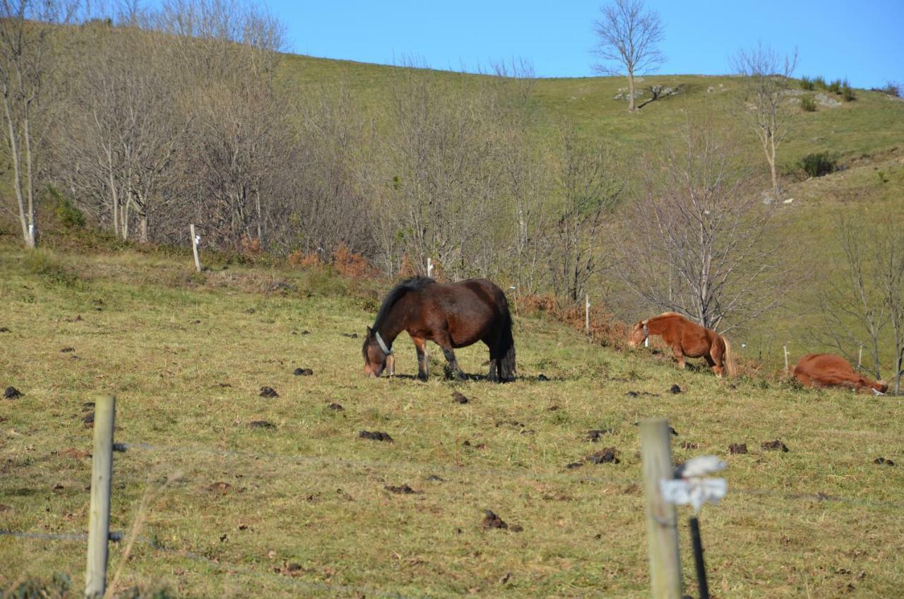 Casa Rural Mollo, Vall De Camprodon Buitenkant foto